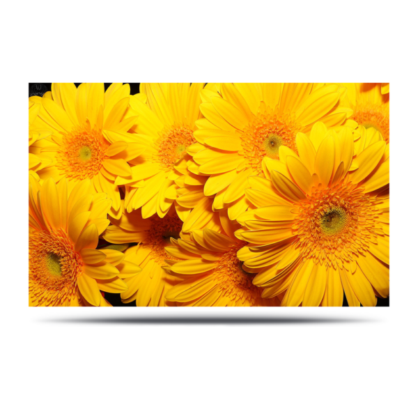 India Printer Posters 12 x 18 Printing India Printer Posters 12 x 18 Printing